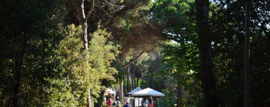 June Weekend offer in Eraclea